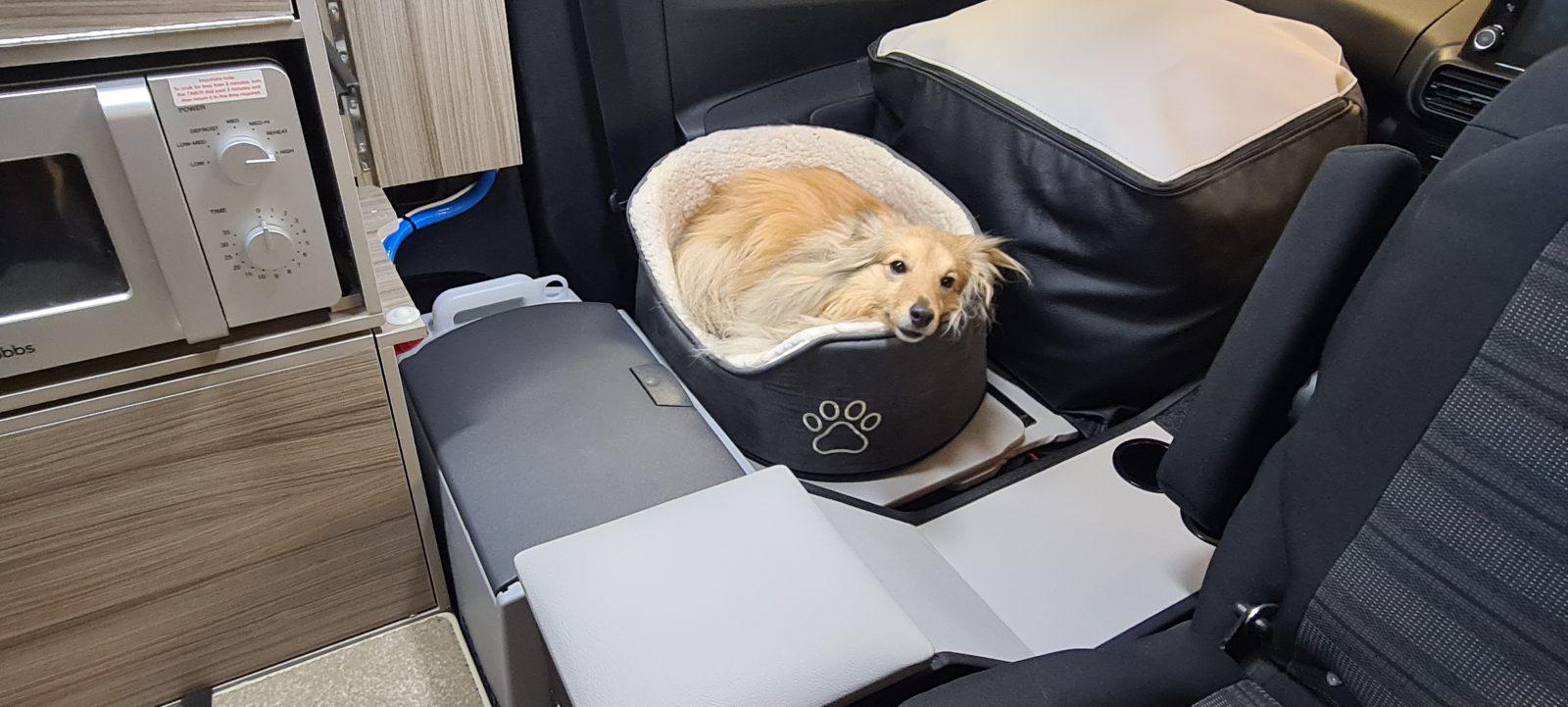 Dog crate secured with seat belt in Vikenze III-e front cab