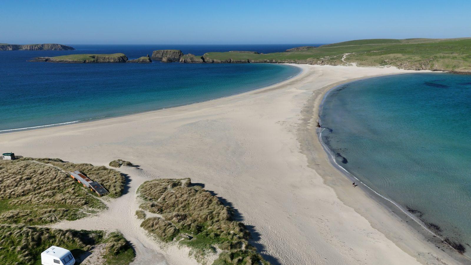 Isla the Sheltie dog on Shetland 2024 trip