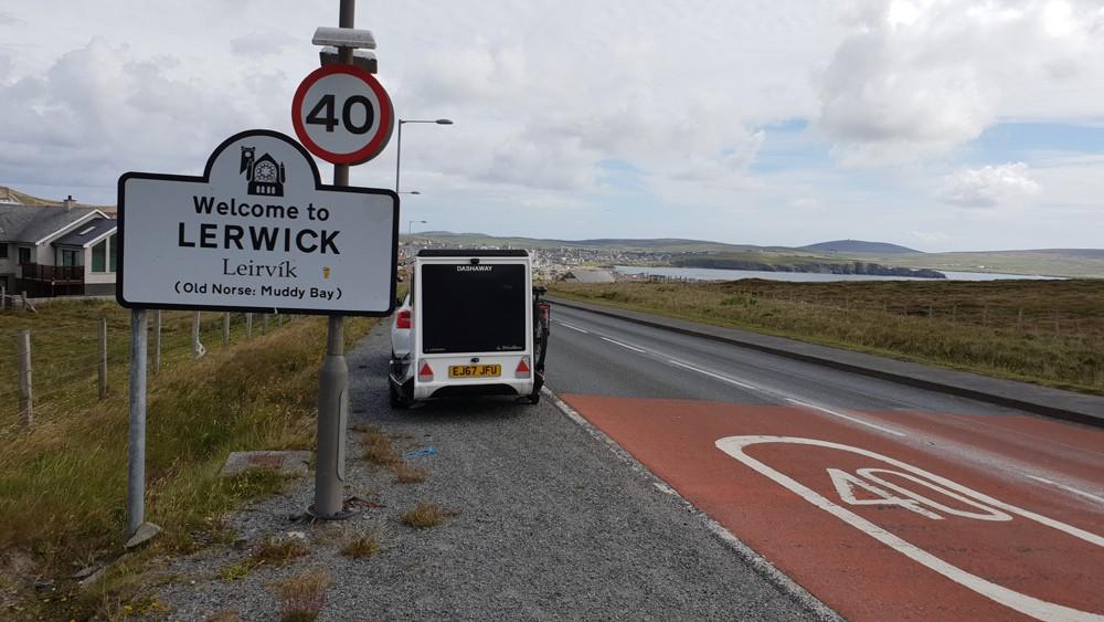 Shetland pony in moorland pasture