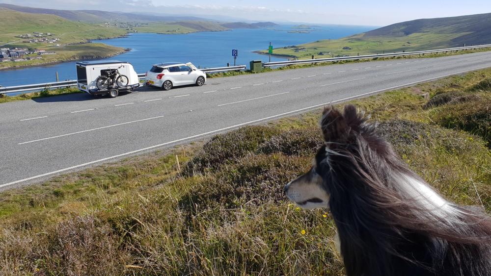 Shetland coastline view